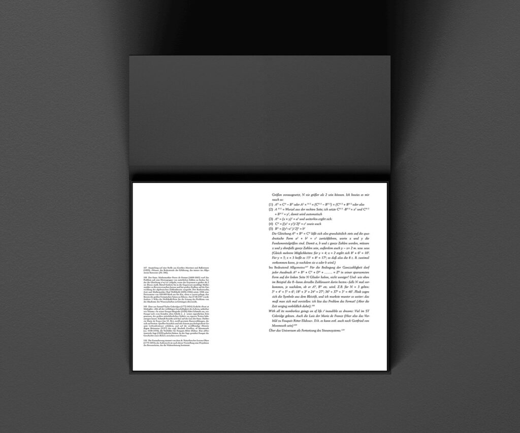 Schwarzer-Spiegel - Exemplarseite 8
